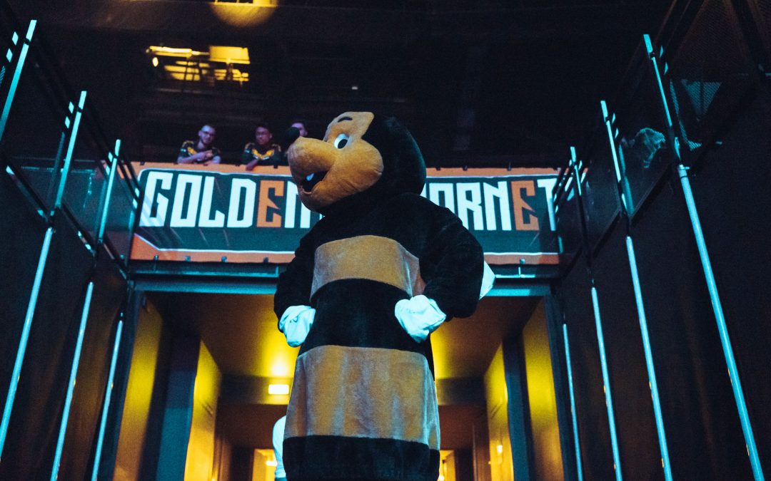 Golden Récap&rsquo; #15